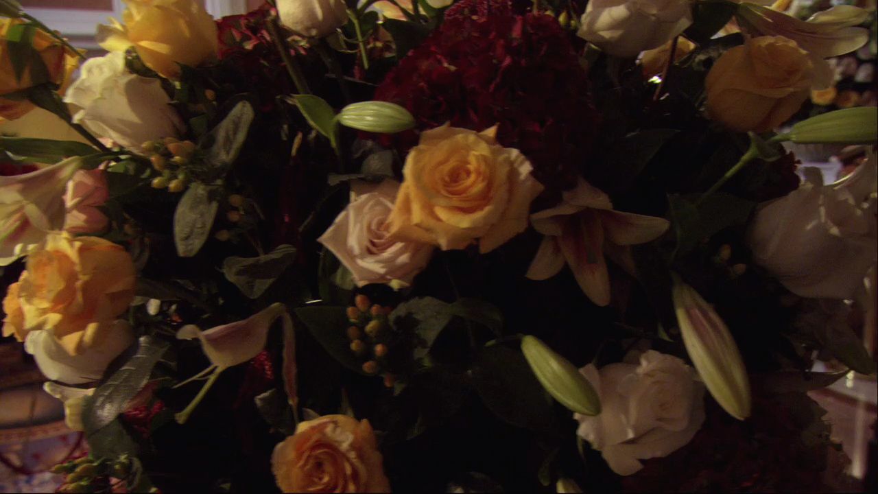 110GossipGirl0840.jpg