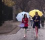 115GossipGirl0637.jpg