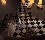 Filename=116GossipGirl1320.jpg
Filesize=102KiB
Dimensions=1280x720
Date added=Mar 14, 2011 116GossipGirl1320.jpg