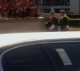 Filename=206GossipGirl1273.jpg
Filesize=82KiB
Dimensions=1280x720
Date added=Feb 20, 2012 206GossipGirl1273.jpg