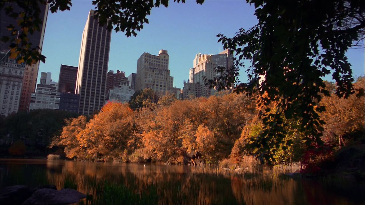 211GossipGirl0177.jpg