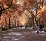 211GossipGirl0007.jpg