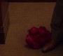 215GossipGirl1108.jpg