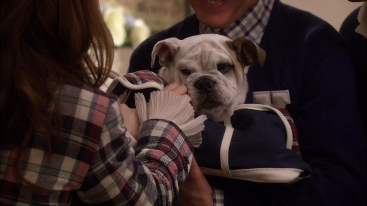 216GossipGirl0030.jpg