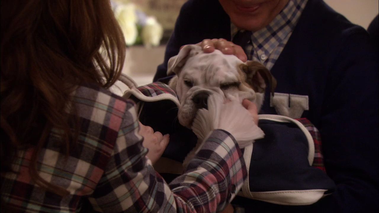 216GossipGirl0033.jpg