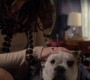 217GossipGirl1207.jpg