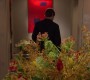 220GossipGirl0530.jpg