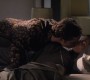 305GossipGirl0013.jpg