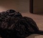 307GossipGirl1357.jpg