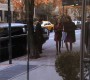311GossipGirl0546.jpg