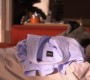 319GossipGirl0215.jpg