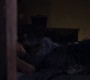 Filename=409GossipGirl1746.jpg
Filesize=53KiB
Dimensions=1280x720
Date added=Dec 01, 2010 409GossipGirl1746.jpg