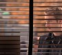 Filename=413GossipGirl0144.jpg
Filesize=90KiB
Dimensions=1280x720
Date added=Feb 05, 2011 413GossipGirl0144.jpg