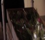 416GossipGirl0923.jpg