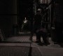 502GossipGirl1309.jpg