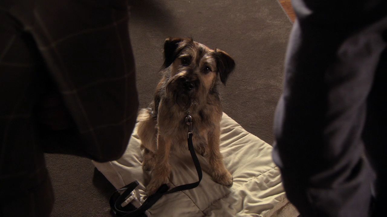 503GossipGirl0120.jpg