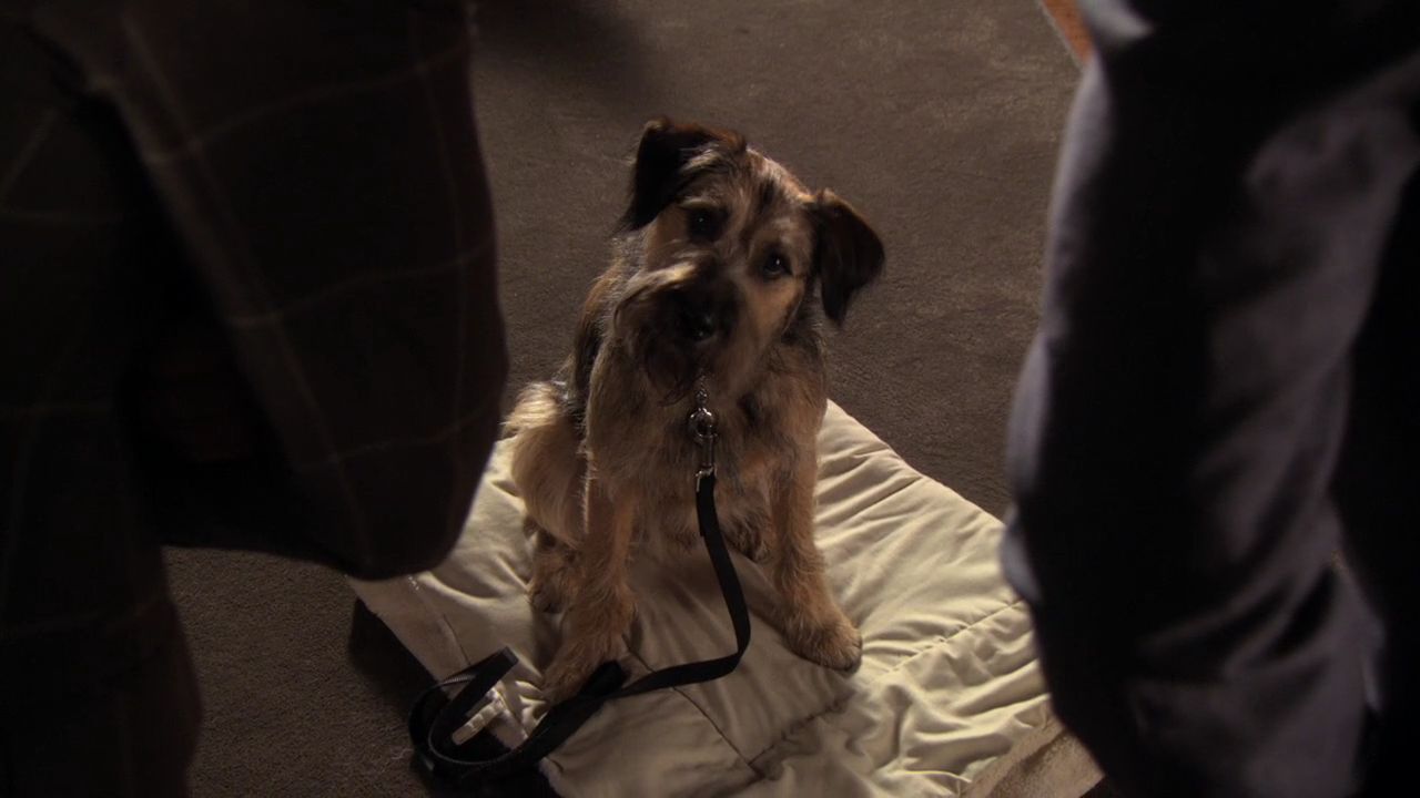 503GossipGirl0122.jpg
