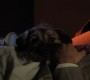 503GossipGirl1644.jpg