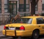 520GossipGirl0797.jpg