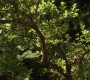 Filename=601GossipGirl0668.jpg
Filesize=343KiB
Dimensions=1920x1088
Date added=Oct 19, 2012 601GossipGirl0668.jpg