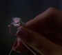 Filename=601GossipGirl1206.jpg
Filesize=74KiB
Dimensions=1920x1088
Date added=Oct 19, 2012 601GossipGirl1206.jpg