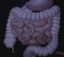 GA1008-00153.jpg