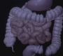 GA1008-00154.jpg