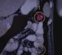 GA1008-00498.jpg