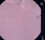 GA1416-00844.jpg