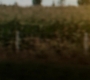 Filename=GA1422-00019.jpg
Filesize=44KiB
Dimensions=1280x720
Date added=May 05, 2018 GA1422-00019.jpg