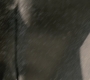 GA618-00481.jpg