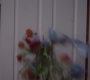Filename=GA816-00932.jpg
Filesize=43KiB
Dimensions=1280x720
Date added=Mar 03, 2012 GA816-00932.jpg