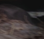 Filename=GA824-00164.jpg
Filesize=35KiB
Dimensions=1280x720
Date added=May 19, 2012 GA824-00164.jpg
