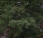 Filename=GA824-00167.jpg
Filesize=96KiB
Dimensions=1280x720
Date added=May 19, 2012 GA824-00167.jpg