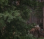 Filename=GA824-00168.jpg
Filesize=94KiB
Dimensions=1280x720
Date added=May 19, 2012 GA824-00168.jpg