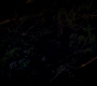 Filename=GA923-01218.jpg
Filesize=34KiB
Dimensions=1280x720
Date added=Jun 30, 2013 GA923-01218.jpg