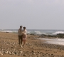 GA_1452.jpg