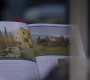 Filename=Greys_Anatomy_S19E10_1407.jpg
Filesize=185KiB
Dimensions=1920x1080
Date added=May 07, 2023 Greys_Anatomy_S19E10_1407.jpg