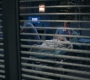 Filename=Greys_Anatomy_S19E10_1477.jpg
Filesize=224KiB
Dimensions=1920x1080
Date added=May 07, 2023 Greys_Anatomy_S19E10_1477.jpg