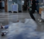 Filename=Greys_Anatomy_S19E11_0905.jpg
Filesize=123KiB
Dimensions=1920x1080
Date added=May 07, 2023 Greys_Anatomy_S19E11_0905.jpg
