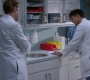 Filename=Greys_Anatomy_S19E11_1177.jpg
Filesize=180KiB
Dimensions=1920x1080
Date added=May 07, 2023 Greys_Anatomy_S19E11_1177.jpg