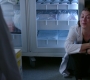 Filename=Greys_Anatomy_S19E11_1268.jpg
Filesize=188KiB
Dimensions=1920x1080
Date added=May 07, 2023 Greys_Anatomy_S19E11_1268.jpg