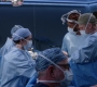 Filename=Greys_Anatomy_S19E11_1512.jpg
Filesize=195KiB
Dimensions=1920x1080
Date added=May 07, 2023 Greys_Anatomy_S19E11_1512.jpg