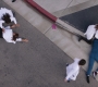Filename=Greys_Anatomy_S19E11_2017.jpg
Filesize=351KiB
Dimensions=1920x1080
Date added=May 07, 2023 Greys_Anatomy_S19E11_2017.jpg