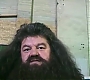HOTN_0849.jpg