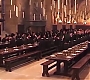 HOTN_0949.jpg