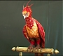 HOTN_1380.jpg