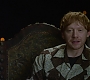 HOTN_2314.jpg