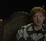 HOTN_3035.jpg