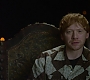 HOTN_3037.jpg